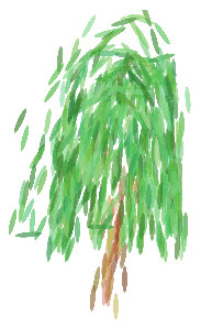 Gravestones for Trees Campaign